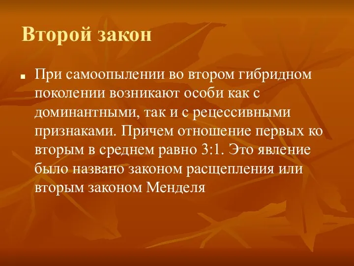 Второй закон При самоопылении во втором гибридном поколении возникают особи как