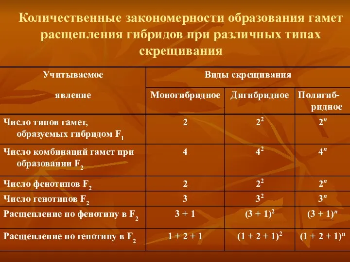 Количественные закономерности образования гамет расщепления гибридов при различных типах скрещивания