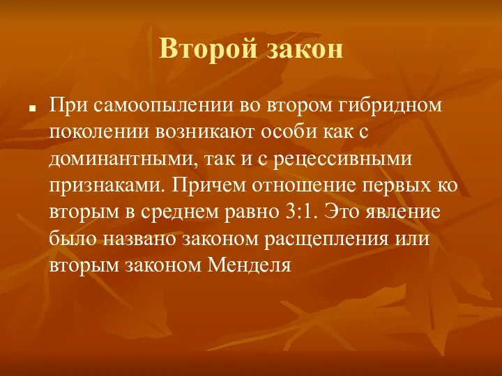 Второй закон При самоопылении во втором гибридном поколении возникают особи как