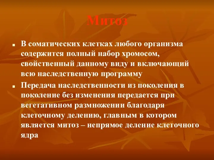 Митоз В соматических клетках любого организма содержится полный набор хромосом, свойственный