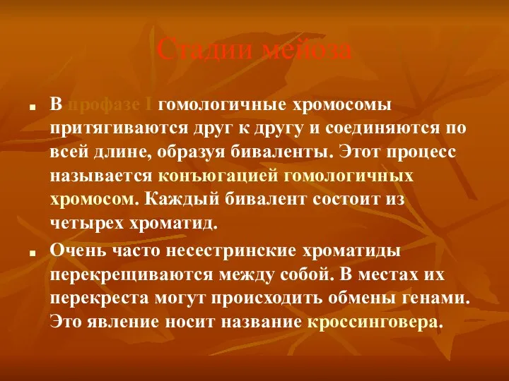 Стадии мейоза В профазе I гомологичные хромосомы притягиваются друг к другу