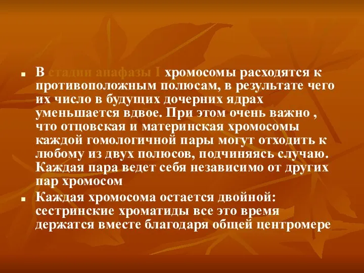 В стадии анафазы I хромосомы расходятся к противоположным полюсам, в результате