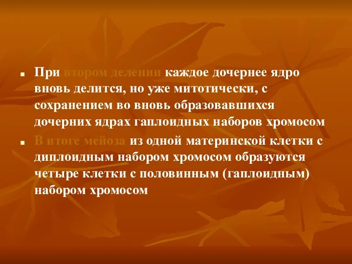 При втором делении каждое дочернее ядро вновь делится, но уже митотически,