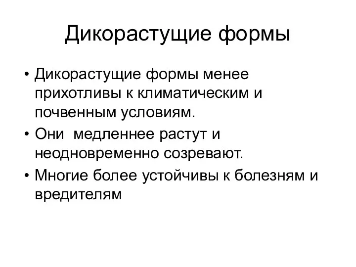 Дикорастущие формы Дикорастущие формы менее прихотливы к климатическим и почвенным условиям.