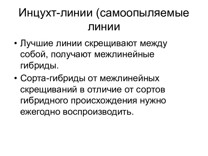 Инцухт-линии (самоопыляемые линии Лучшие линии скрещивают между собой, получают межлинейные гибриды.