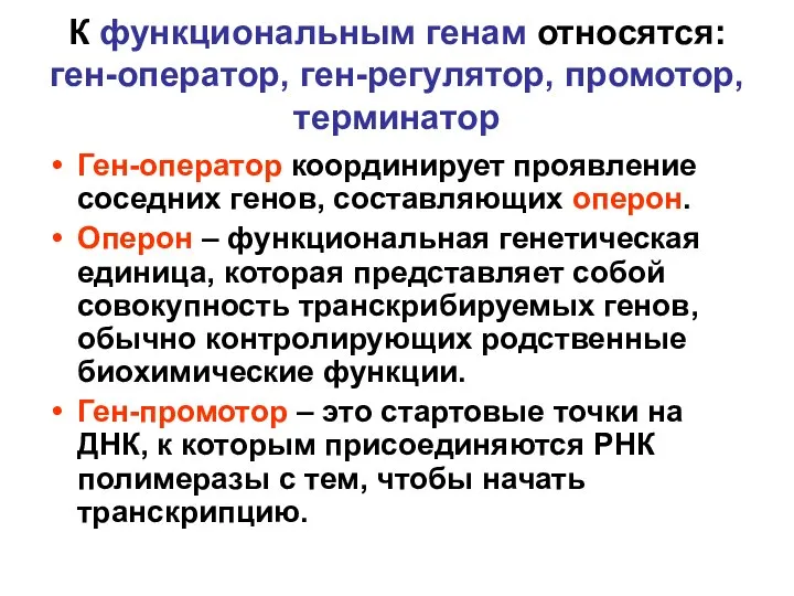 К функциональным генам относятся: ген-оператор, ген-регулятор, промотор, терминатор Ген-оператор координирует проявление