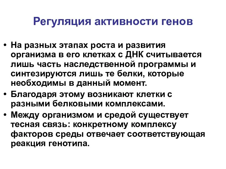 Регуляция активности генов На разных этапах роста и развития организма в