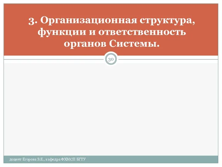 3. Организационная структура, функции и ответственность органов Системы. доцент Егорова З.Е., кафедра ФХМСП БГТУ