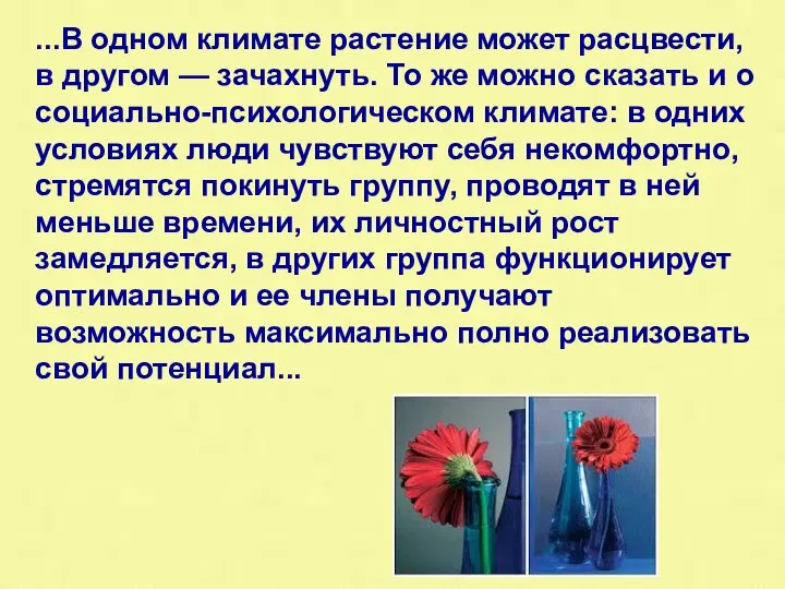 ...В одном климате растение может расцвести, в другом — зачахнуть. То