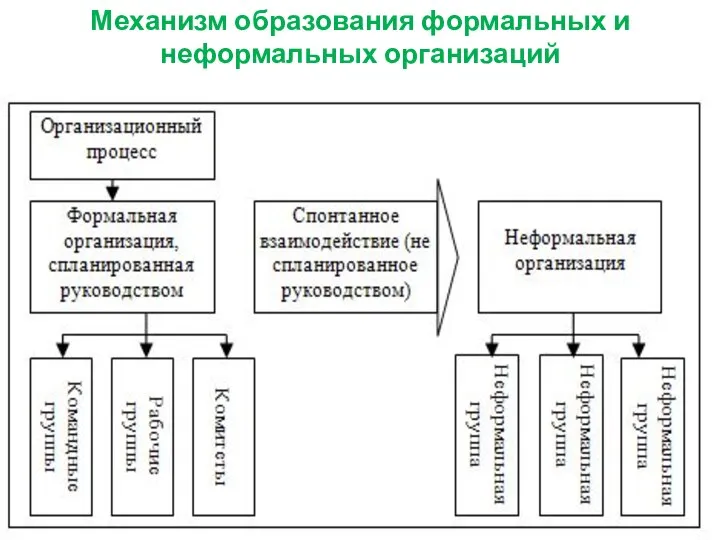 Механизм образования формальных и неформальных организаций