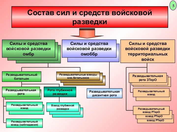 Разведывательный взвод РТерО Разведывательный взвод РТерО Разведывательная рота ЗТерО Состав сил