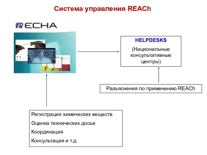 HELPDESKS (Национальные консультативные центры) Система управления REACh Регистрация химических веществ Оценка