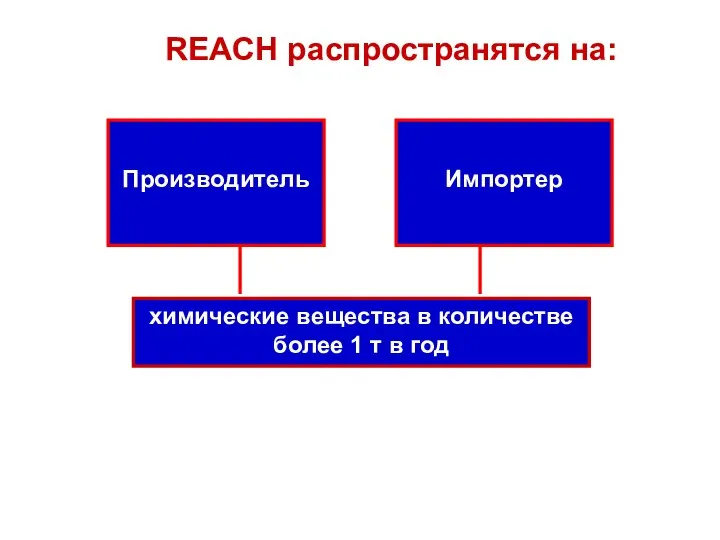 Производитель Импортер химические вещества в количестве более 1 т в год REACH распространятся на: