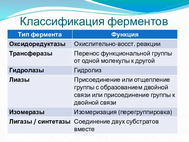 Классификация ферментов