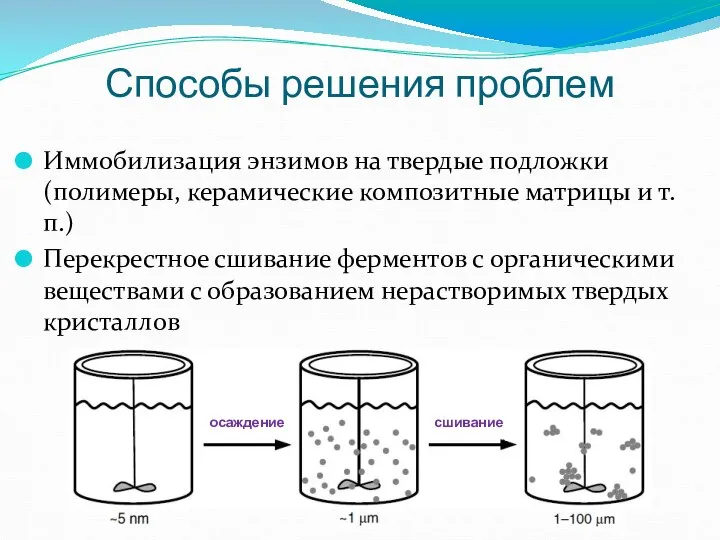 Иммобилизация энзимов на твердые подложки (полимеры, керамические композитные матрицы и т.п.)