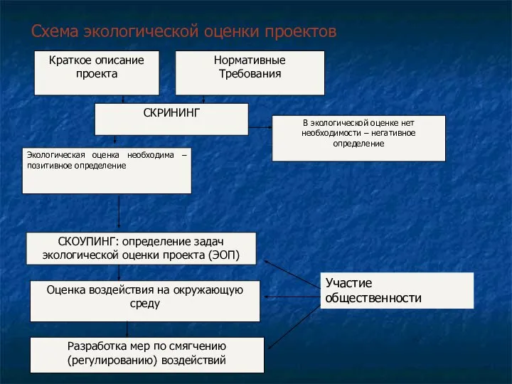 Схема экологической оценки проектов