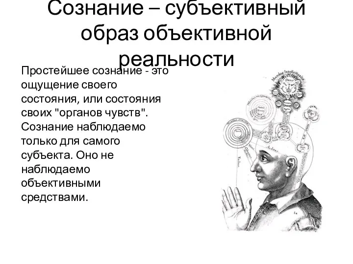 Сознание – субъективный образ объективной реальности Простейшее сознание - это ощущение