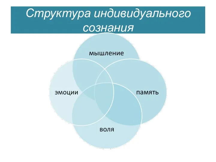 Структура индивидуального сознания