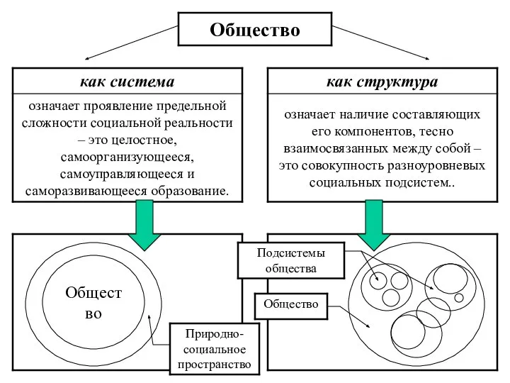 Общество