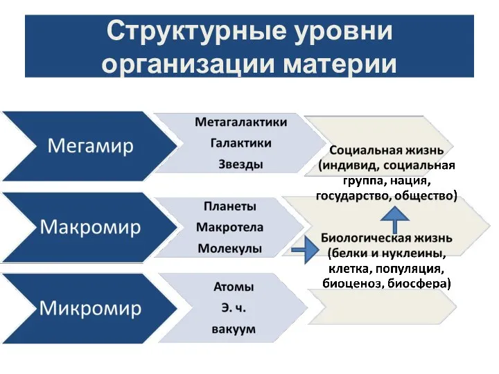 Структурные уровни организации материи