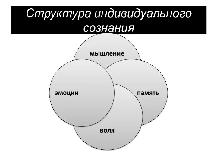 Структура индивидуального сознания