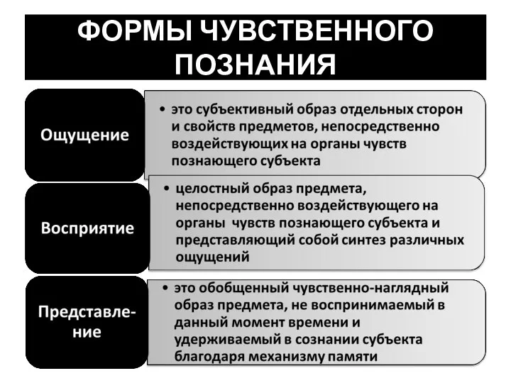 ФОРМЫ ЧУВСТВЕННОГО ПОЗНАНИЯ