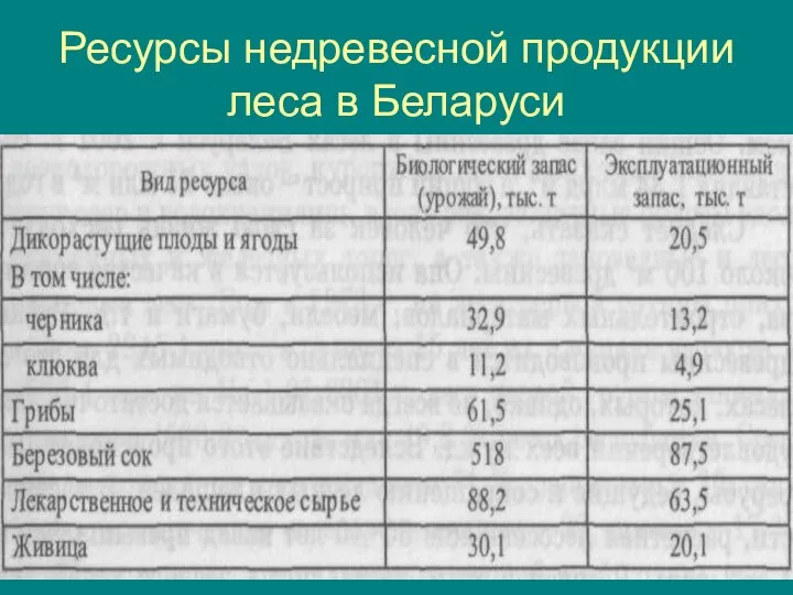 Ресурсы недревесной продукции леса в Беларуси