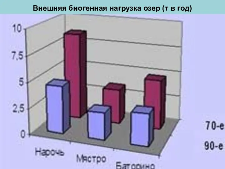 Внешняя биогенная нагрузка озер (т в год)