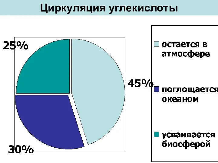 Циркуляция углекислоты