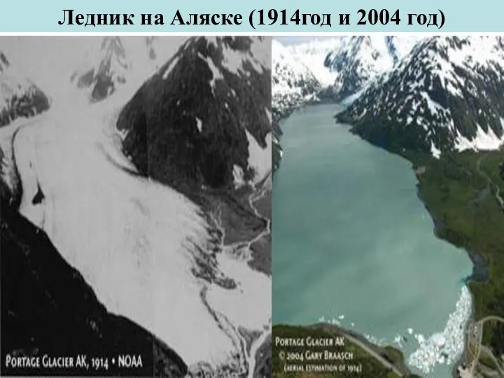 Ледник на Аляске (1914год и 2004 год)