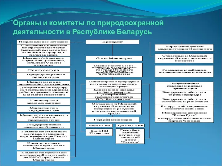 Органы и комитеты по природоохранной деятельности в Республике Беларусь
