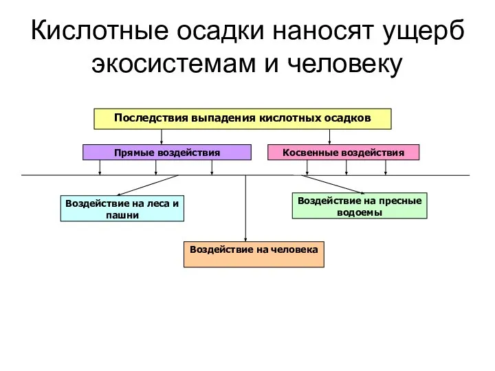 Кислотные осадки наносят ущерб экосистемам и человеку