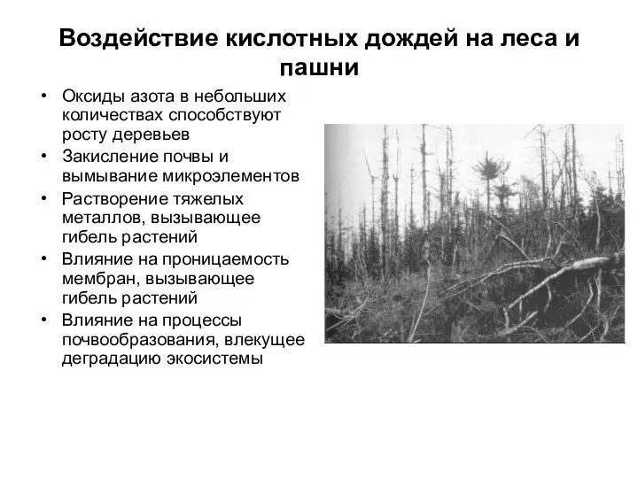 Воздействие кислотных дождей на леса и пашни Оксиды азота в небольших