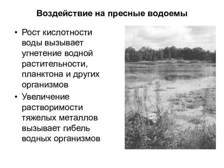 Воздействие на пресные водоемы Рост кислотности воды вызывает угнетение водной растительности,