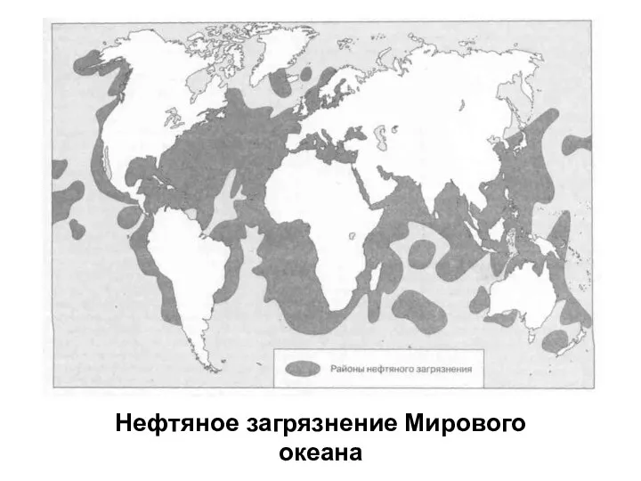 Нефтяное загрязнение Мирового океана