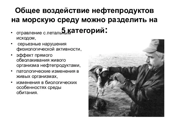 Общее воздействие нефтепродуктов на морскую среду можно разделить на 5 категорий: