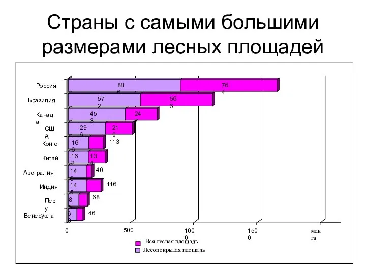 Страны с самыми большими размерами лесных площадей