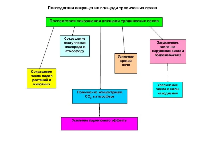 Последствия сокращения площади тропических лесов