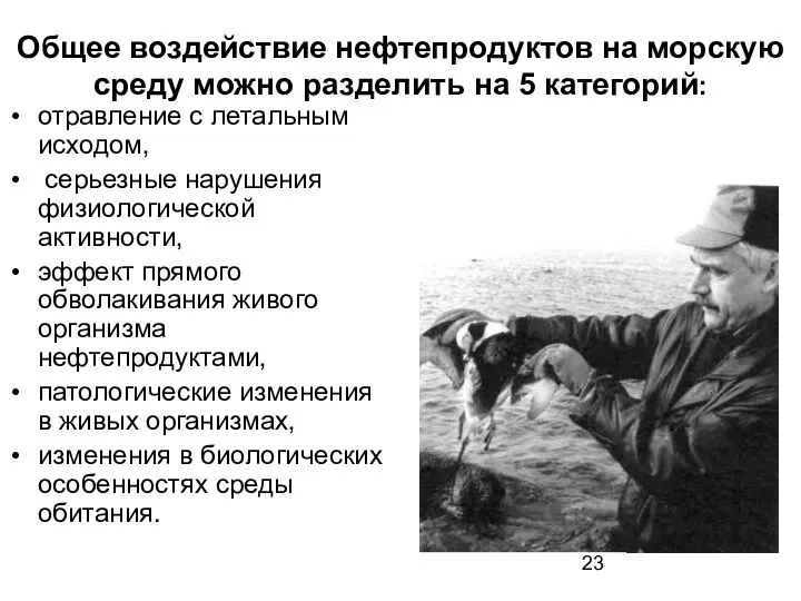 Общее воздействие нефтепродуктов на морскую среду можно разделить на 5 категорий: