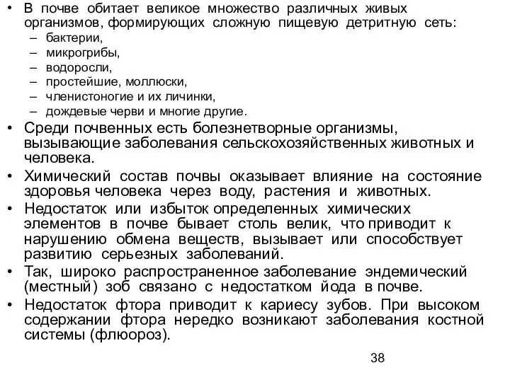 В почве обитает великое множество различных живых организмов, формирующих сложную пищевую