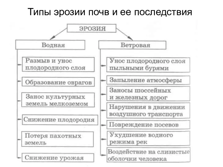 Типы эрозии почв и ее последствия