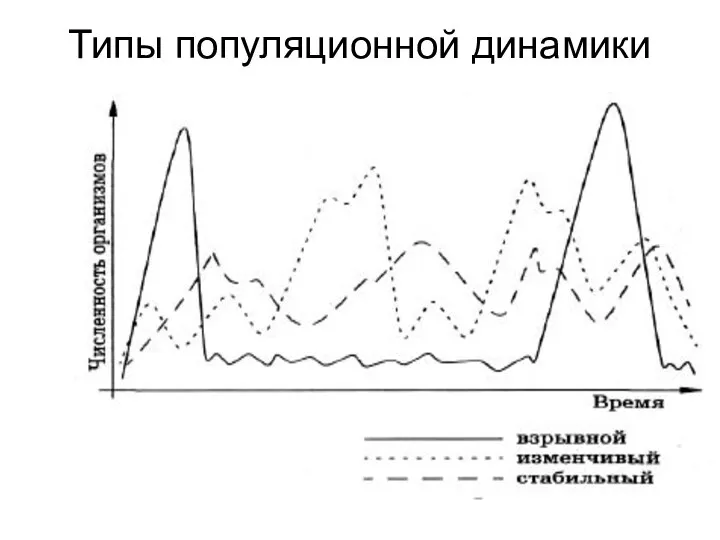 Типы популяционной динамики