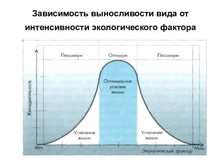 Зависимость выносливости вида от интенсивности экологического фактора