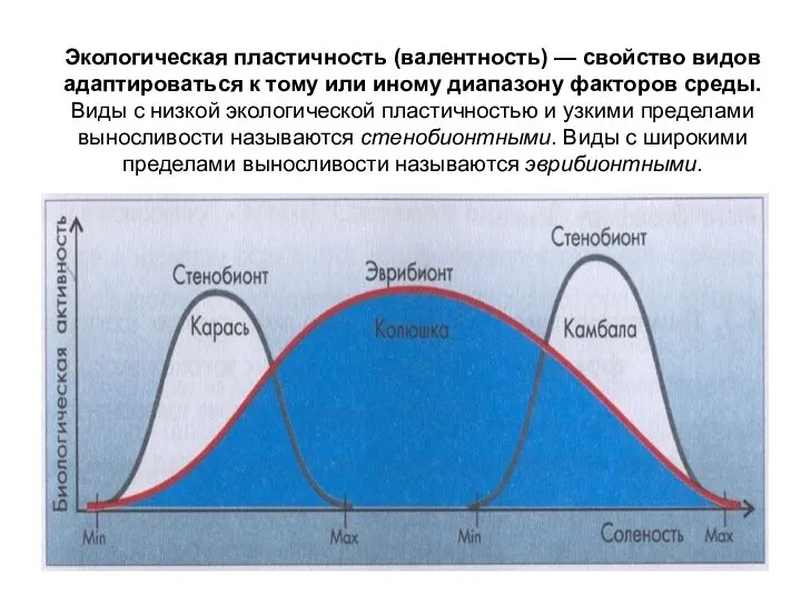 Экологическая пластичность (валентность) — свойство видов адаптироваться к тому или иному