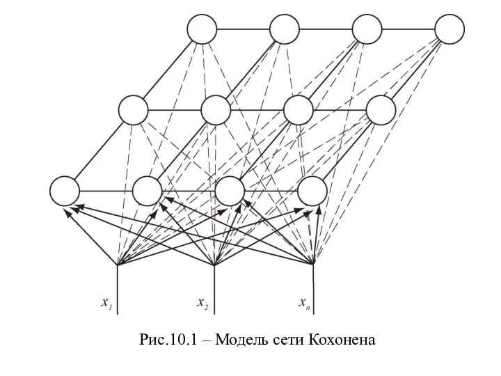 Рис.10.1 – Модель сети Кохонена