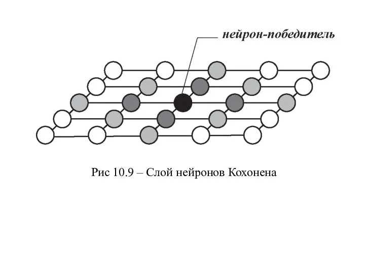 Рис 10.9 – Слой нейронов Кохонена