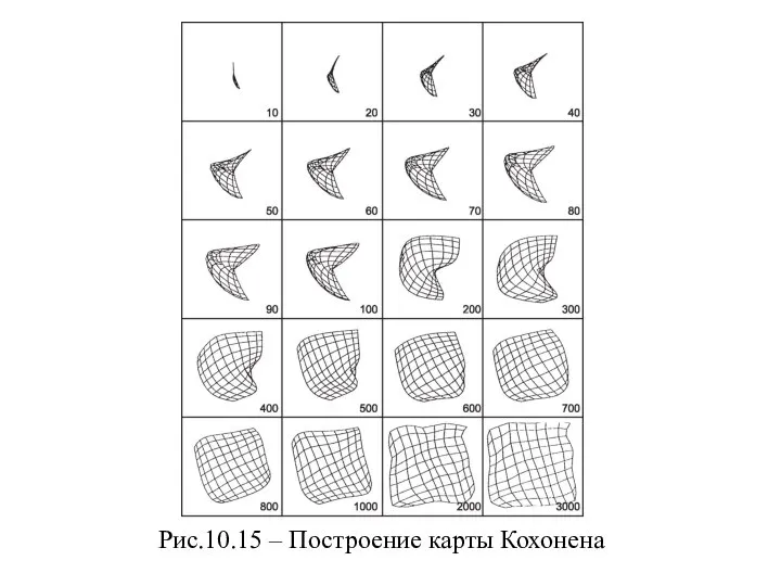 Рис.10.15 – Построение карты Кохонена