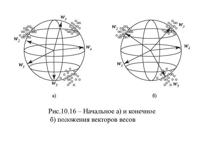 Рис.10.16 – Начальное а) и конечное б) положения векторов весов