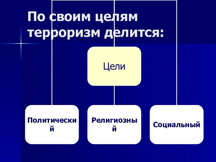 По своим целям терроризм делится: