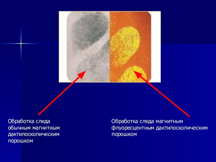 Обработка следа обычным магнитным дактилоскопическим порошком Обработка следа магнитным флуоресцентным дактилоскопическим порошком